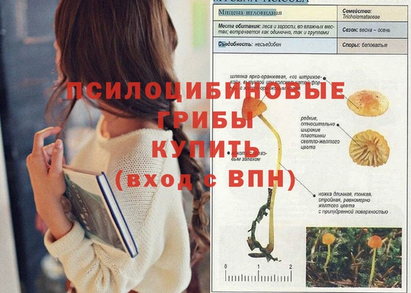 прущие грибы Балабаново