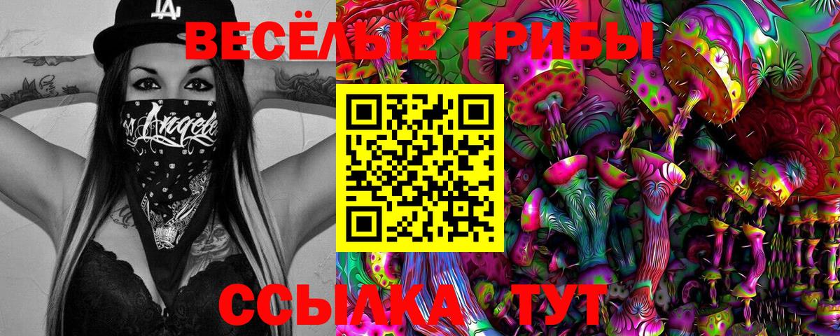 Галлюциногенные грибы Psilocybine cubensis  купить наркоту  Вход с VPN  Усть-Лабинск  Галлюциногенные грибы GOLDEN TEACHER 