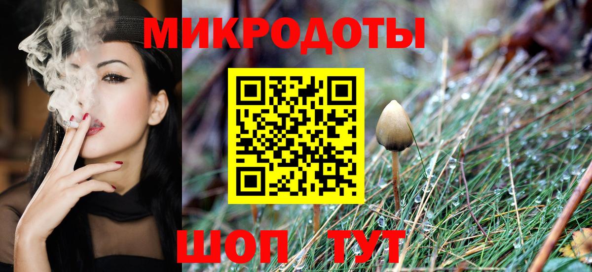 Галлюциногенные грибы Psilocybe Усть-Лабинск